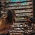 Kirsten Lopez's profile image