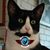 Sally Torgeson's profile image
