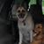 Tracy Johnston's profile image