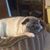 Tim Maxcy's profile image