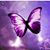 Quinna Tackett Miederhoff's profile image
