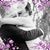 Tianna Hradowsky's profile image