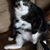 LeeAnn Genzano's profile image
