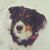 Jessica Spaid's profile image
