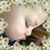 Carmen D Vega's profile image