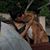 Michelle Saldana's profile image