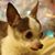 Sharon Finney Ware's profile image