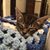 Debbie Walker's profile image