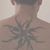 Chris Bracken's profile image