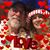 Marta Wenzel Nord's profile image