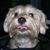 Katie Downs's profile image