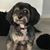 Gail Gabryl-Schwichtenberg's profile image