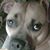 Marnie Covell's profile image