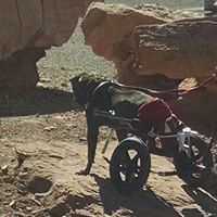 Karin Ainley's profile image