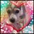 Rita Reaux's profile image