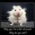 Kim Kline's profile image
