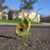 Kenneth A Taylor's profile image