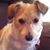 Missy Myers McCloy's profile image