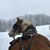 Tracy Williams's profile image