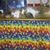 Denise Weir DeArdo's profile image