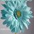 Adriana Murillo Aceves's profile image