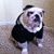 Carol Williams's profile image
