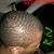 Drean Williams's profile image