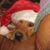 Wendy Wales's profile image
