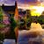 Lynn Miller Hill's profile image