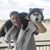 Brett Shonebarger's profile image
