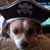 Zoe Banderas's profile image