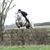 Arran Fearn's profile image