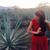 Marie Szobo's profile image