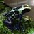 Eric Glab's profile image