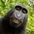 Rob Dell's profile image