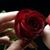 Marianna Martinez's profile image