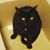 Molly Tate Sanger's profile image