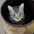 Mardi Garrett Oliver's profile image