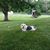 Jan Gibson Durbin's profile image