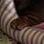 Joan Louise's profile image