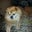 Deb F.'s profile image