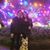 Bailey Hofmann's profile image
