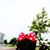 Suthisak Saengtharatip's profile image