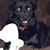 Karen Ritter Whitney's profile image