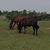 Kathryn Schloss Beach's profile image