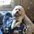 Lisa Thomas Dunkel's profile image