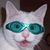 Brian Hathaway's profile image