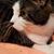 Jacqueline C. Steiner-Stapp's profile image
