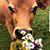 Krissie Smith-Alvey's profile image