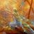 Lisa Gros's profile image